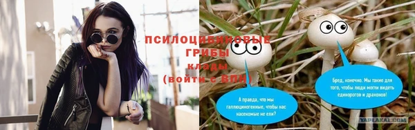 прущие крисы Беломорск