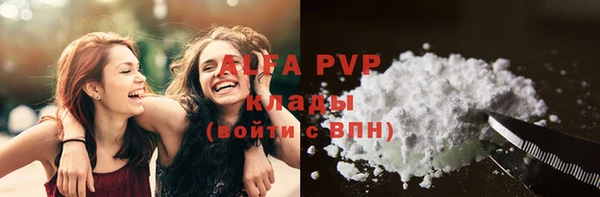 шишки Белокуриха