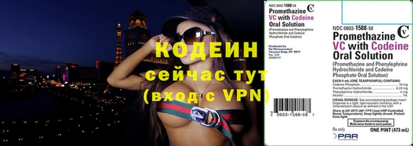 шишки Белокуриха