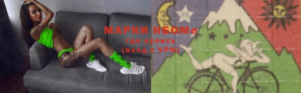 шишки Белокуриха