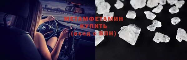 шишки Белокуриха
