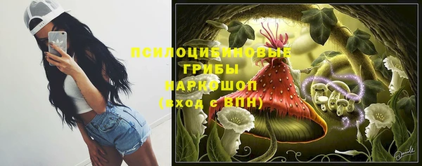 МДПВ Семилуки