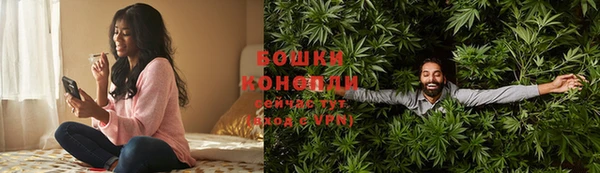 шишки Белокуриха